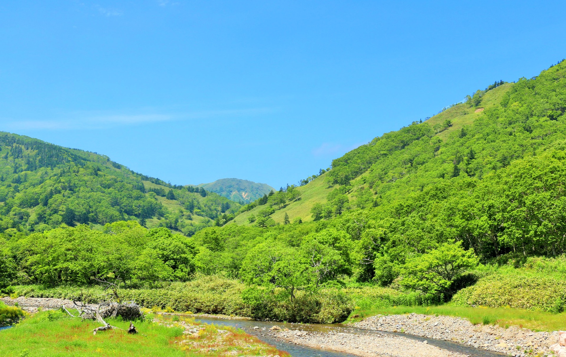 山里村の起源